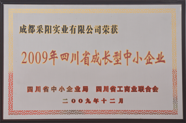 四川省成长型中小企业2009.png